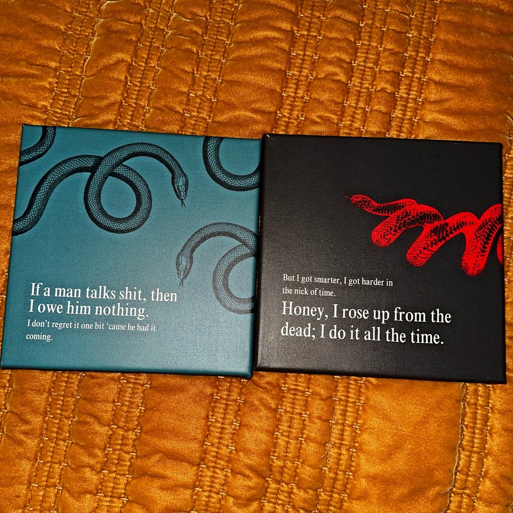 Taylor Swift reputation Themed Canvases